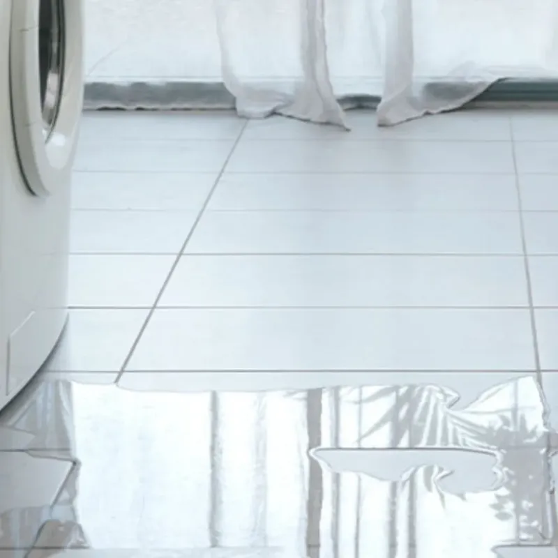 Appliance Leak Cleanup in Raymore, MO