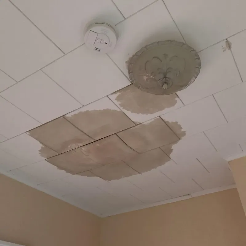 Ceiling Water Damage Repair in Raymore, MO