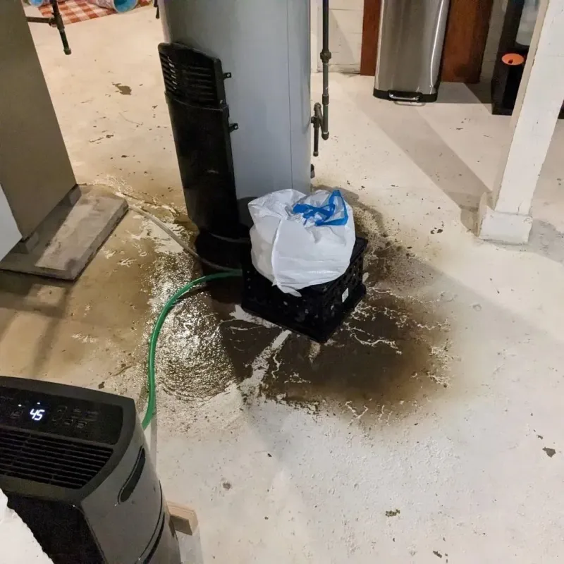 Sewage Backup Cleanup Service in Raymore, MO